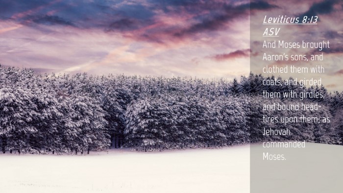 Picture 04 - Leviticus 8:13 ASV Desktop Wallpaper - And Moses brought Aaron's sons, and clothed them - Desktop Bible Verse Wallpaper