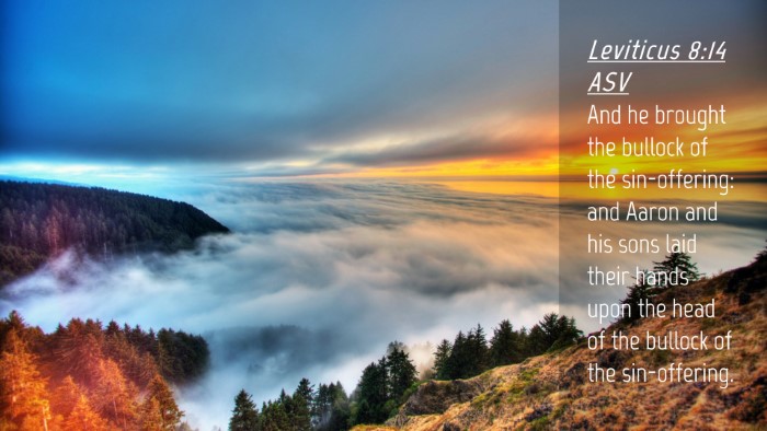 Picture 04 - Leviticus 8:14 ASV Desktop Wallpaper - And he brought the bullock of the sin-offering: - Desktop Bible Verse Wallpaper
