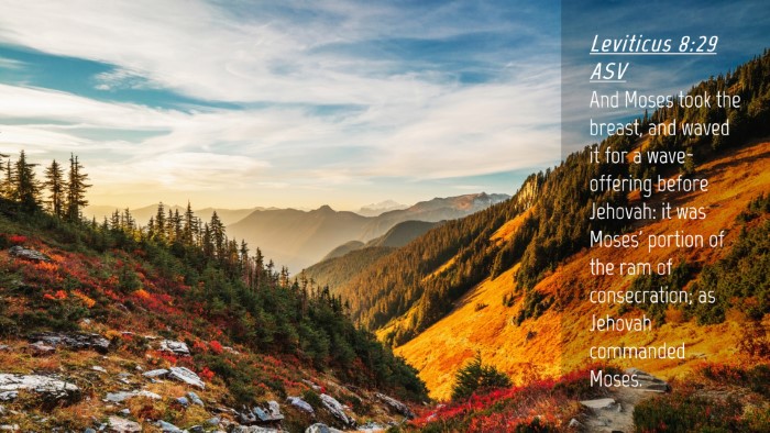 Picture 04 - Leviticus 8:29 ASV Desktop Wallpaper - And Moses took the breast, and waved it for a - Desktop Bible Verse Wallpaper