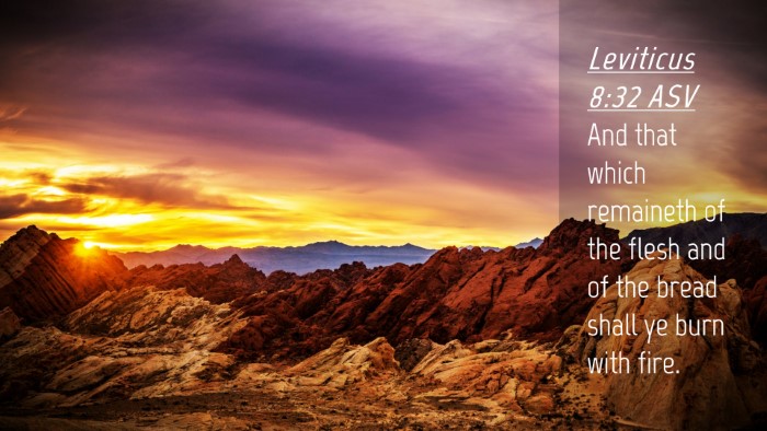 Picture 04 - Leviticus 8:32 ASV Desktop Wallpaper - And that which remaineth of the flesh and of the - Desktop Bible Verse Wallpaper