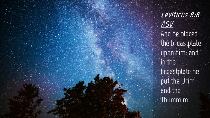 Picture 04 - Leviticus 8:8 ASV Desktop Wallpaper - And he placed the breastplate upon him: and in - Desktop Bible Verse Wallpaper