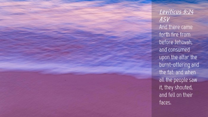 Picture 04 - Leviticus 9:24 ASV Desktop Wallpaper - And there came forth fire from before Jehovah, - Desktop Bible Verse Wallpaper