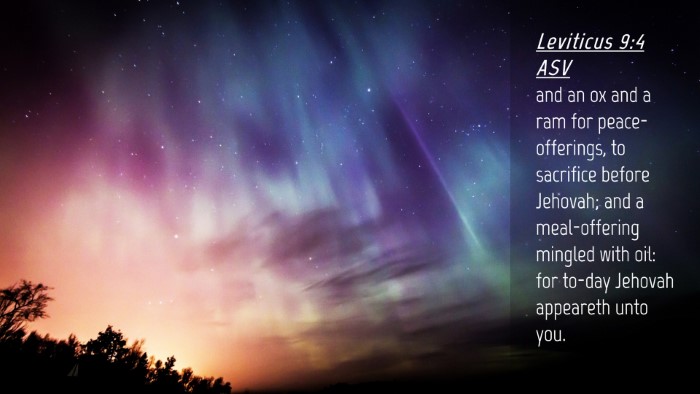 Picture 04 - Leviticus 9:4 ASV Desktop Wallpaper - and an ox and a ram for peace-offerings, to - Desktop Bible Verse Wallpaper