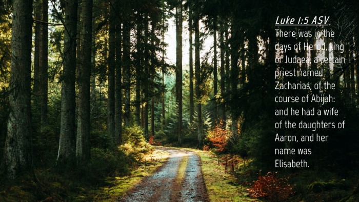 Picture 04 - Luke 1:5 ASV Desktop Wallpaper - There was in the days of Herod, king of Judaea, a - Desktop Bible Verse Wallpaper