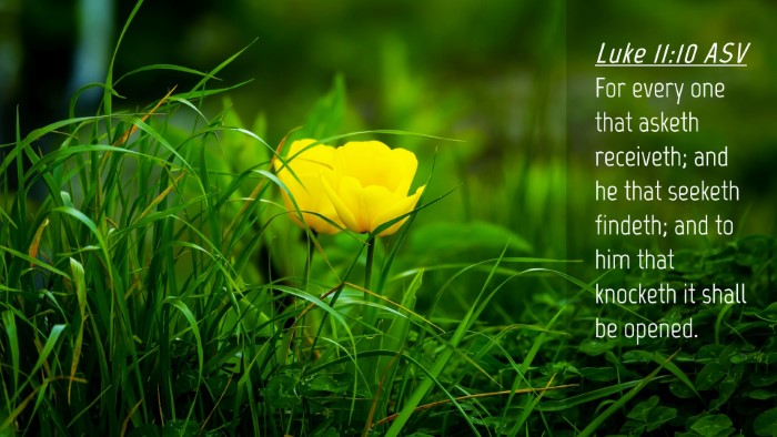 Picture 04 - Luke 11:10 ASV Desktop Wallpaper - For every one that asketh receiveth; and he that - Desktop Bible Verse Wallpaper