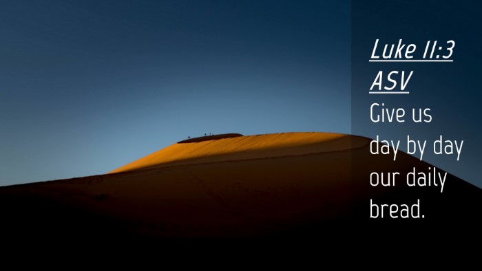 Picture 04 - Luke 11:3 ASV Desktop Wallpaper - Give us day by day our daily - Desktop Bible Verse Wallpaper