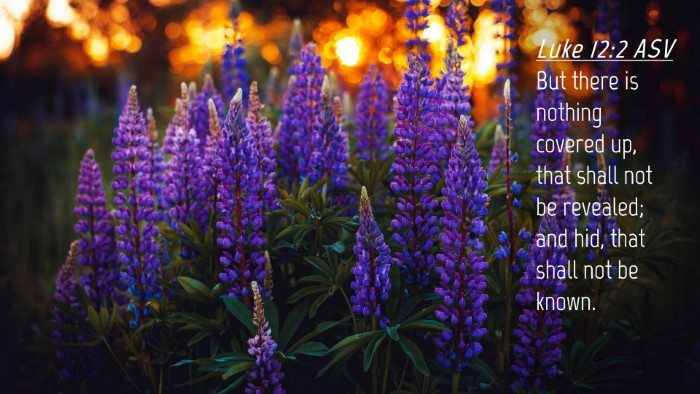 Picture 04 - Luke 12:2 ASV Desktop Wallpaper - But there is nothing covered up, that shall not - Desktop Bible Verse Wallpaper
