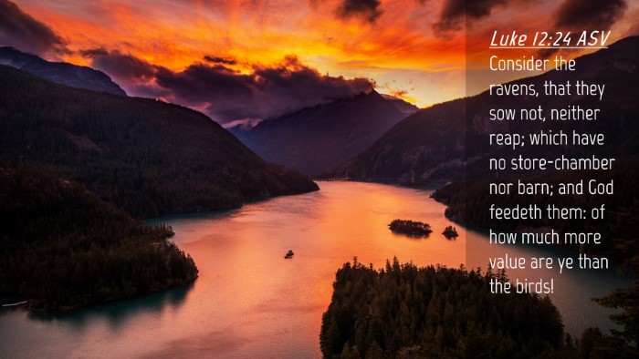 Picture 04 - Luke 12:24 ASV Desktop Wallpaper - Consider the ravens, that they sow not, neither - Desktop Bible Verse Wallpaper