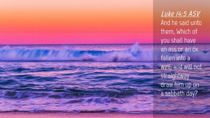 Picture 04 - Luke 14:5 ASV Desktop Wallpaper - And he said unto them, Which of you shall have an - Desktop Bible Verse Wallpaper