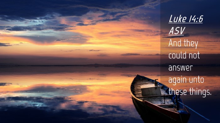 Picture 04 - Luke 14:6 ASV Desktop Wallpaper - And they could not answer again unto these - Desktop Bible Verse Wallpaper