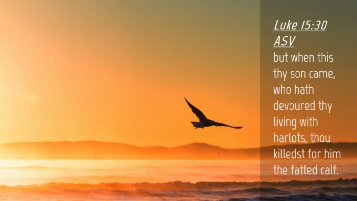 Picture 04 - Luke 15:30 ASV Desktop Wallpaper - but when this thy son came, who hath devoured thy - Desktop Bible Verse Wallpaper