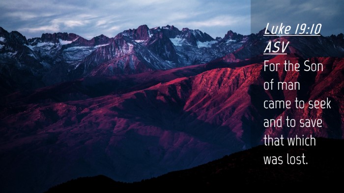Picture 04 - Luke 19:10 ASV Desktop Wallpaper - For the Son of man came to seek and to save that - Desktop Bible Verse Wallpaper