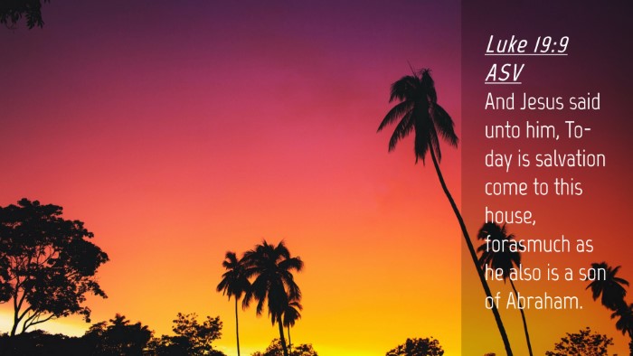 Picture 04 - Luke 19:9 ASV Desktop Wallpaper - And Jesus said unto him, To-day is salvation come - Desktop Bible Verse Wallpaper