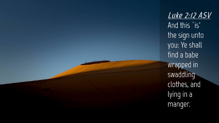 Picture 04 - Luke 2:12 ASV Desktop Wallpaper - And this `is' the sign unto you: Ye shall find a - Desktop Bible Verse Wallpaper