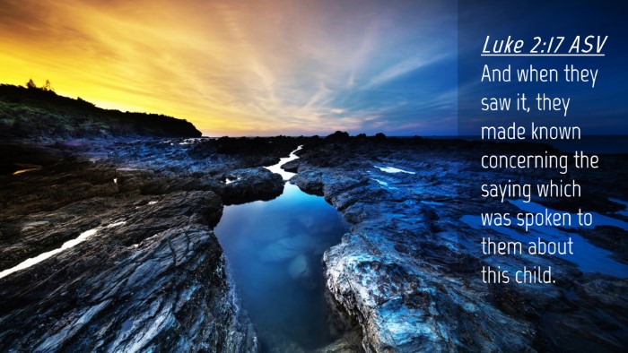 Picture 04 - Luke 2:17 ASV Desktop Wallpaper - And when they saw it, they made known concerning - Desktop Bible Verse Wallpaper