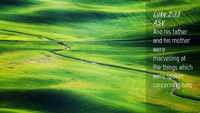 Picture 04 - Luke 2:33 ASV Desktop Wallpaper - And his father and his mother were marvelling at - Desktop Bible Verse Wallpaper