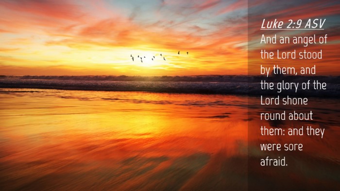 Picture 04 - Luke 2:9 ASV Desktop Wallpaper - And an angel of the Lord stood by them, and the - Desktop Bible Verse Wallpaper