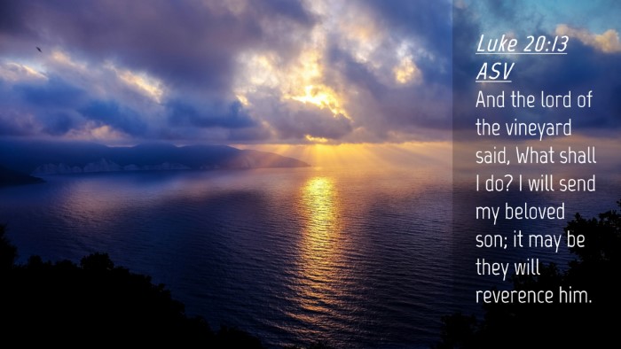 Picture 04 - Luke 20:13 ASV Desktop Wallpaper - And the lord of the vineyard said, What shall I - Desktop Bible Verse Wallpaper