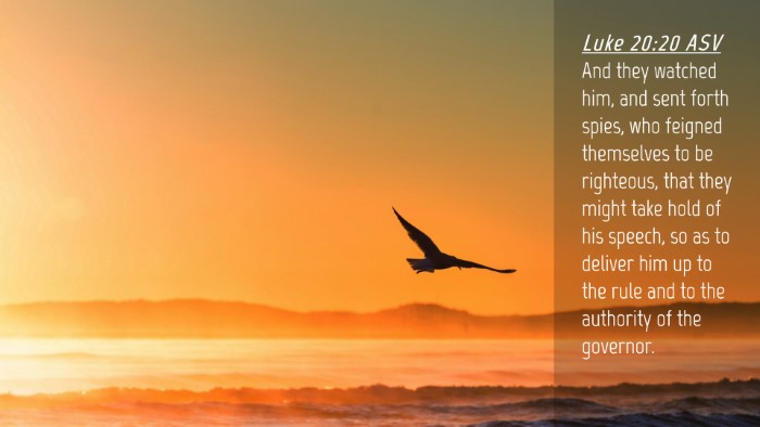 Picture 04 - Luke 20:20 ASV Desktop Wallpaper - And they watched him, and sent forth spies, who - Desktop Bible Verse Wallpaper