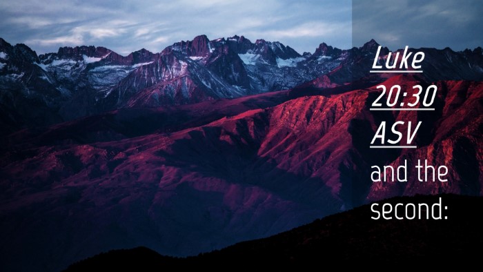 Picture 04 - Luke 20:30 ASV Desktop Wallpaper - and the - Desktop Bible Verse Wallpaper