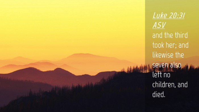 Picture 04 - Luke 20:31 ASV Desktop Wallpaper - and the third took her; and likewise the seven - Desktop Bible Verse Wallpaper
