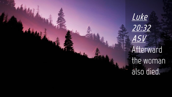 Picture 04 - Luke 20:32 ASV Desktop Wallpaper - Afterward the woman also - Desktop Bible Verse Wallpaper