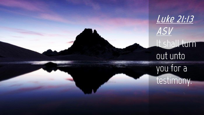 Picture 04 - Luke 21:13 ASV Desktop Wallpaper - It shall turn out unto you for a - Desktop Bible Verse Wallpaper