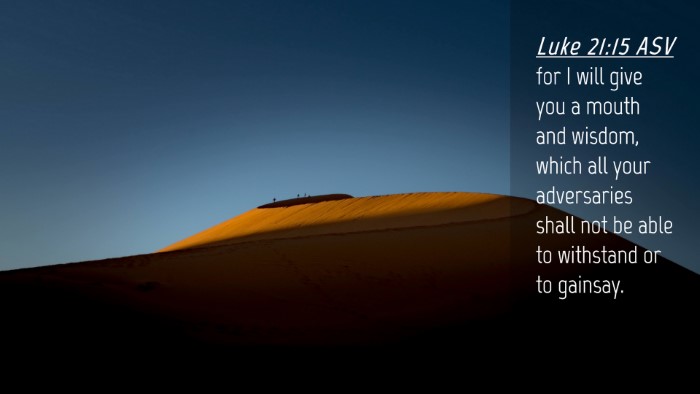 Picture 04 - Luke 21:15 ASV Desktop Wallpaper - for I will give you a mouth and wisdom, which all - Desktop Bible Verse Wallpaper