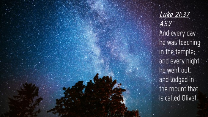 Picture 04 - Luke 21:37 ASV Desktop Wallpaper - And every day he was teaching in the temple; and - Desktop Bible Verse Wallpaper