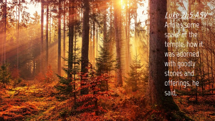Picture 04 - Luke 21:5 ASV Desktop Wallpaper - And as some spake of the temple, how it was - Desktop Bible Verse Wallpaper