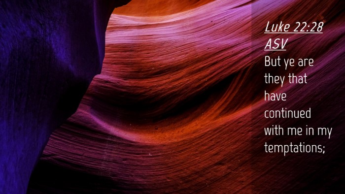 Picture 04 - Luke 22:28 ASV Desktop Wallpaper - But ye are they that have continued with me in my - Desktop Bible Verse Wallpaper