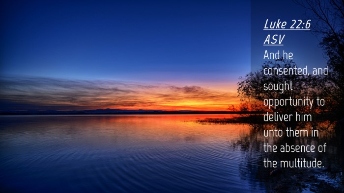 Picture 04 - Luke 22:6 ASV Desktop Wallpaper - And he consented, and sought opportunity to - Desktop Bible Verse Wallpaper