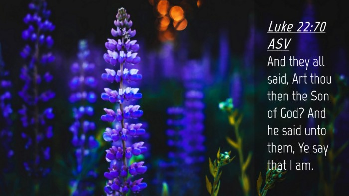 Picture 04 - Luke 22:70 ASV Desktop Wallpaper - And they all said, Art thou then the Son of God? - Desktop Bible Verse Wallpaper