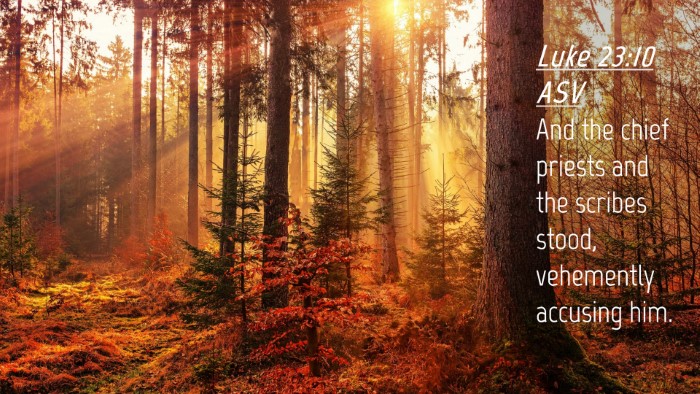 Picture 04 - Luke 23:10 ASV Desktop Wallpaper - And the chief priests and the scribes stood, - Desktop Bible Verse Wallpaper