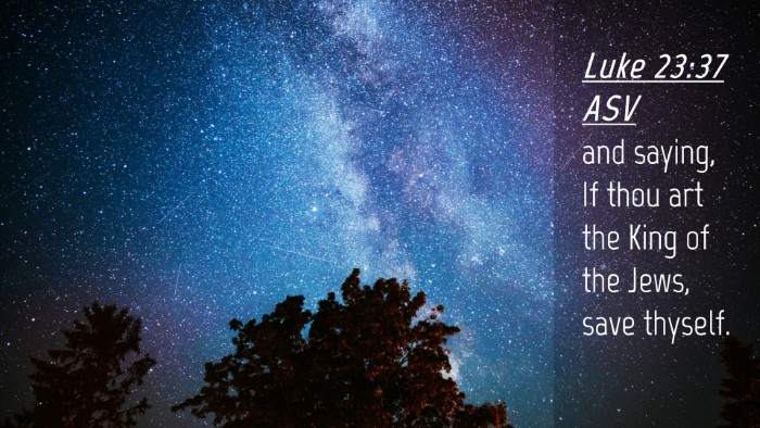 Picture 04 - Luke 23:37 ASV Desktop Wallpaper - and saying, If thou art the King of the Jews, - Desktop Bible Verse Wallpaper