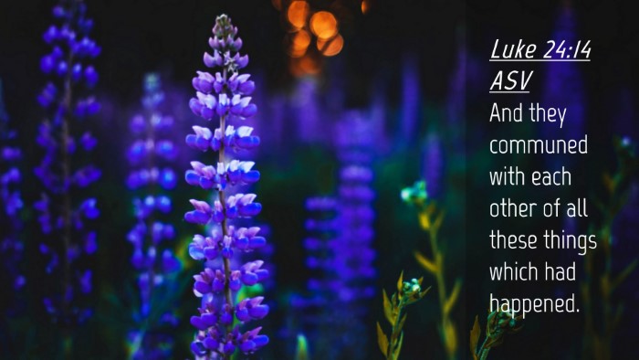 Picture 04 - Luke 24:14 ASV Desktop Wallpaper - And they communed with each other of all these - Desktop Bible Verse Wallpaper