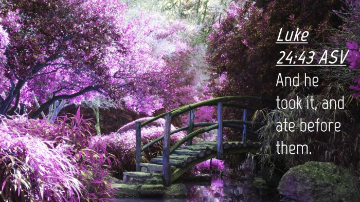 Picture 04 - Luke 24:43 ASV Desktop Wallpaper - And he took it, and ate before - Desktop Bible Verse Wallpaper