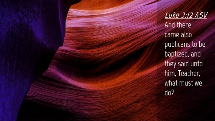 Picture 04 - Luke 3:12 ASV Desktop Wallpaper - And there came also publicans to be baptized, and - Desktop Bible Verse Wallpaper