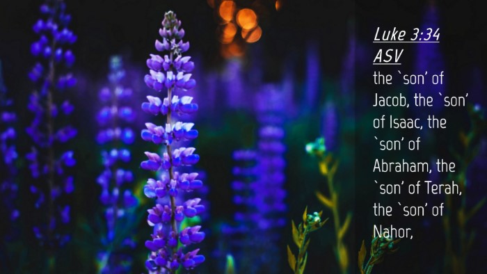 Picture 04 - Luke 3:34 ASV Desktop Wallpaper - the `son' of Jacob, the `son' of Isaac, the `son' - Desktop Bible Verse Wallpaper