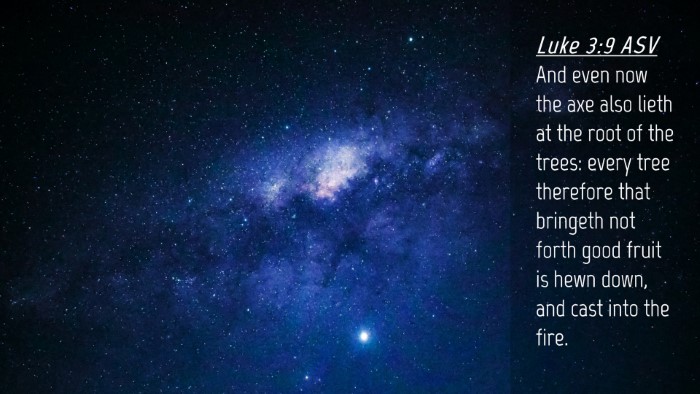 Picture 04 - Luke 3:9 ASV Desktop Wallpaper - And even now the axe also lieth at the root of - Desktop Bible Verse Wallpaper