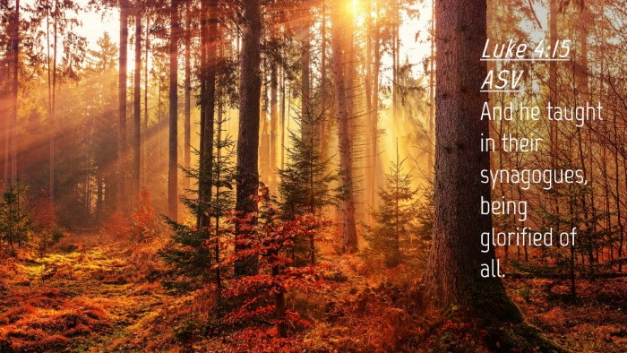 Picture 04 - Luke 4:15 ASV Desktop Wallpaper - And he taught in their synagogues, being - Desktop Bible Verse Wallpaper