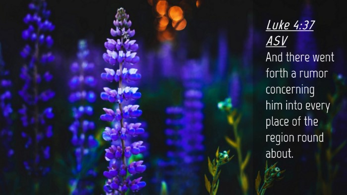 Picture 04 - Luke 4:37 ASV Desktop Wallpaper - And there went forth a rumor concerning him into - Desktop Bible Verse Wallpaper