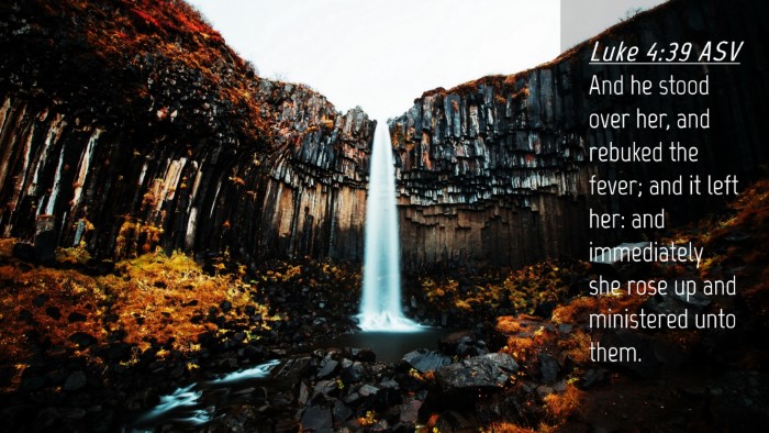 Picture 04 - Luke 4:39 ASV Desktop Wallpaper - And he stood over her, and rebuked the fever; and - Desktop Bible Verse Wallpaper