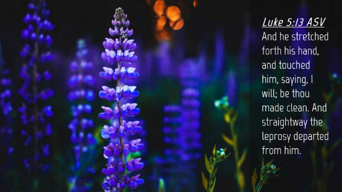 Picture 04 - Luke 5:13 ASV Desktop Wallpaper - And he stretched forth his hand, and touched him, - Desktop Bible Verse Wallpaper
