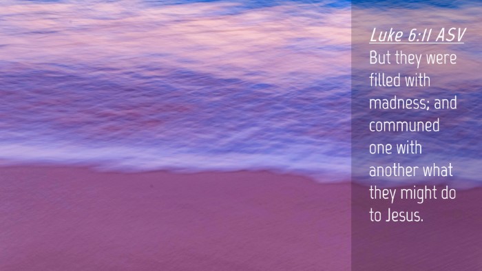 Picture 04 - Luke 6:11 ASV Desktop Wallpaper - But they were filled with madness; and communed - Desktop Bible Verse Wallpaper