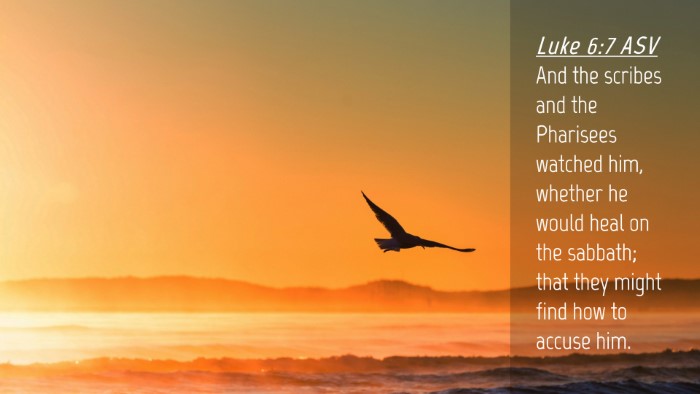 Picture 04 - Luke 6:7 ASV Desktop Wallpaper - And the scribes and the Pharisees watched him, - Desktop Bible Verse Wallpaper