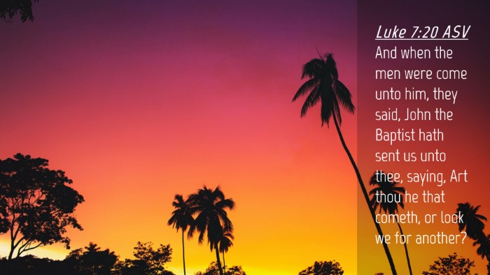 Picture 04 - Luke 7:20 ASV Desktop Wallpaper - And when the men were come unto him, they said, - Desktop Bible Verse Wallpaper