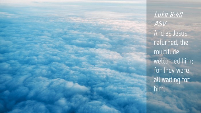 Picture 04 - Luke 8:40 ASV Desktop Wallpaper - And as Jesus returned, the multitude welcomed - Desktop Bible Verse Wallpaper