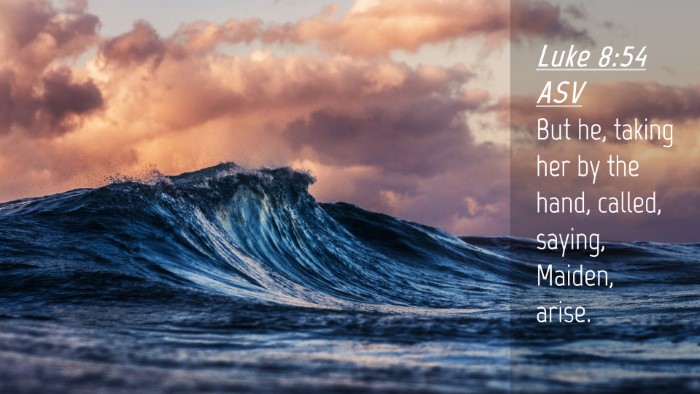 Picture 04 - Luke 8:54 ASV Desktop Wallpaper - But he, taking her by the hand, called, saying, - Desktop Bible Verse Wallpaper