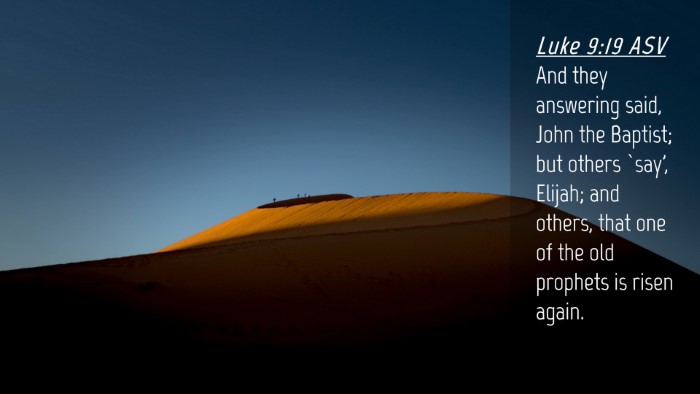 Picture 04 - Luke 9:19 ASV Desktop Wallpaper - And they answering said, John the Baptist; but - Desktop Bible Verse Wallpaper